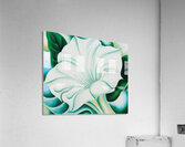 Georgia OKeeffe 10 Acrylic Print