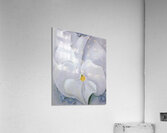 Georgia OKeeffe 11 Acrylic Print