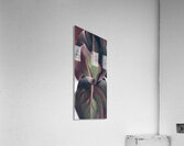 Georgia OKeeffe 16 Acrylic Print