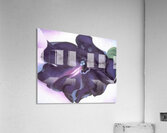 Georgia OKeeffe 21 Acrylic Print