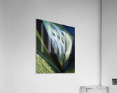 Georgia OKeeffe 28 Acrylic Print