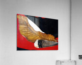 Georgia OKeeffe 30 Acrylic Print