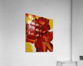 Georgia OKeeffe 35 Acrylic Print