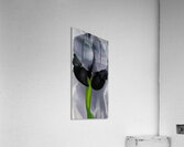 Georgia OKeeffe 42 Acrylic Print