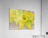 Georgia OKeeffe 45 Acrylic Print