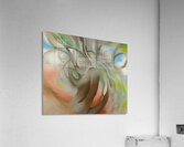 Georgia OKeeffe 48 Acrylic Print