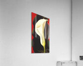 Georgia OKeeffe 50 Acrylic Print