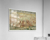 Georgia OKeeffe 52 Acrylic Print