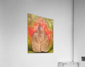 Georgia OKeeffe 56 Impression acrylique