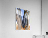 Georgia OKeeffe 57 Acrylic Print