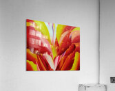 Georgia OKeeffe 60 Acrylic Print