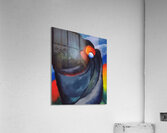 Georgia OKeeffe 64 Acrylic Print