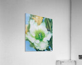 Georgia OKeeffe 72 Acrylic Print
