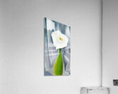 Georgia OKeeffe 7 Acrylic Print