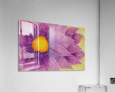 Georgia OKeeffe 11 Acrylic Print