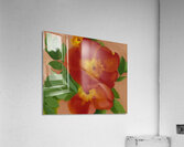 Georgia OKeeffe 18 Acrylic Print