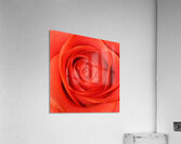 Georgia OKeeffe 26 Acrylic Print