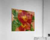 Georgia OKeeffe 1 Acrylic Print