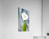 Georgia OKeeffe 4 Acrylic Print