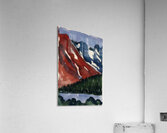 Georgia OKeeffe 5 Acrylic Print