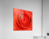 Georgia OKeeffe 10 Acrylic Print