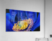 Georgia OKeeffe 12 Acrylic Print