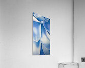 Georgia OKeeffe 15 Acrylic Print