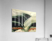 Georgia OKeeffe 16 Acrylic Print