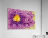 Georgia OKeeffe 25 Acrylic Print