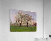 Apples Trees at Pontoise 1872 Camille Pissarr Acrylic Print