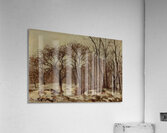 Chestnut Orchard in Winter 1872 Camille Pissarro Acrylic Print