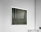 Agnes Martin    37 Acrylic Print