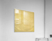 Agnes Martin    49 Acrylic Print