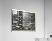 Josef Albers    36 Acrylic Print