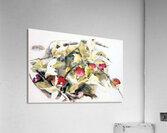 Charles Demuth    2 Acrylic Print