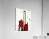 Charles Demuth    16 Acrylic Print