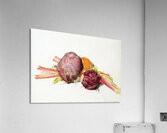 Charles Demuth    26 Acrylic Print