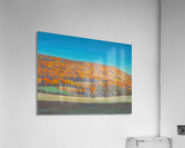 Rockwell Kent  17 Acrylic Print