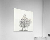 Ben Shahn 11 Acrylic Print