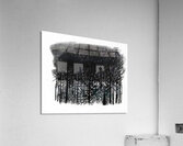 Ben Shahn 16 Acrylic Print