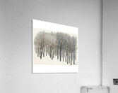 Ben Shahn 36 Acrylic Print