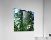 Chaim Soutine 27 Acrylic Print