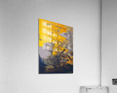 Zao Wo Ki 46 Acrylic Print