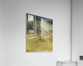 Zao Wo Ki 55 Acrylic Print