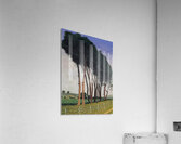 Felix Vallotton - The Family of Trees  1922  Acrylic Print