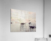 Art by Cy Twombly 27 Acrylic Print