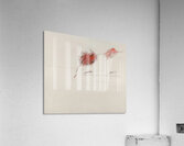 Art by Cy Twombly 28 Acrylic Print