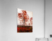 Art by Ferdinand Hodler  5 Acrylic Print