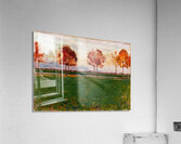 Art by Ferdinand Hodler  6 Acrylic Print