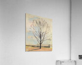 Art by Ferdinand Hodler  10 Acrylic Print